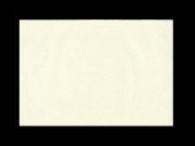 Pergamena avorio  formato a4 cm. 21x29,7