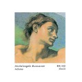 Michelangelo buonarroti adamo cm. 33x33 stampa arte affiches