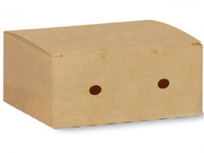 Contenitore scatola per gastronomia fritture mm.200x120x70 pz.50