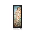 Sandro botticelli la venere cm. 35xx100 stampa arte affiches