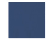Tovaglioli di carta ecologici pz.40 cm.33x33 blu